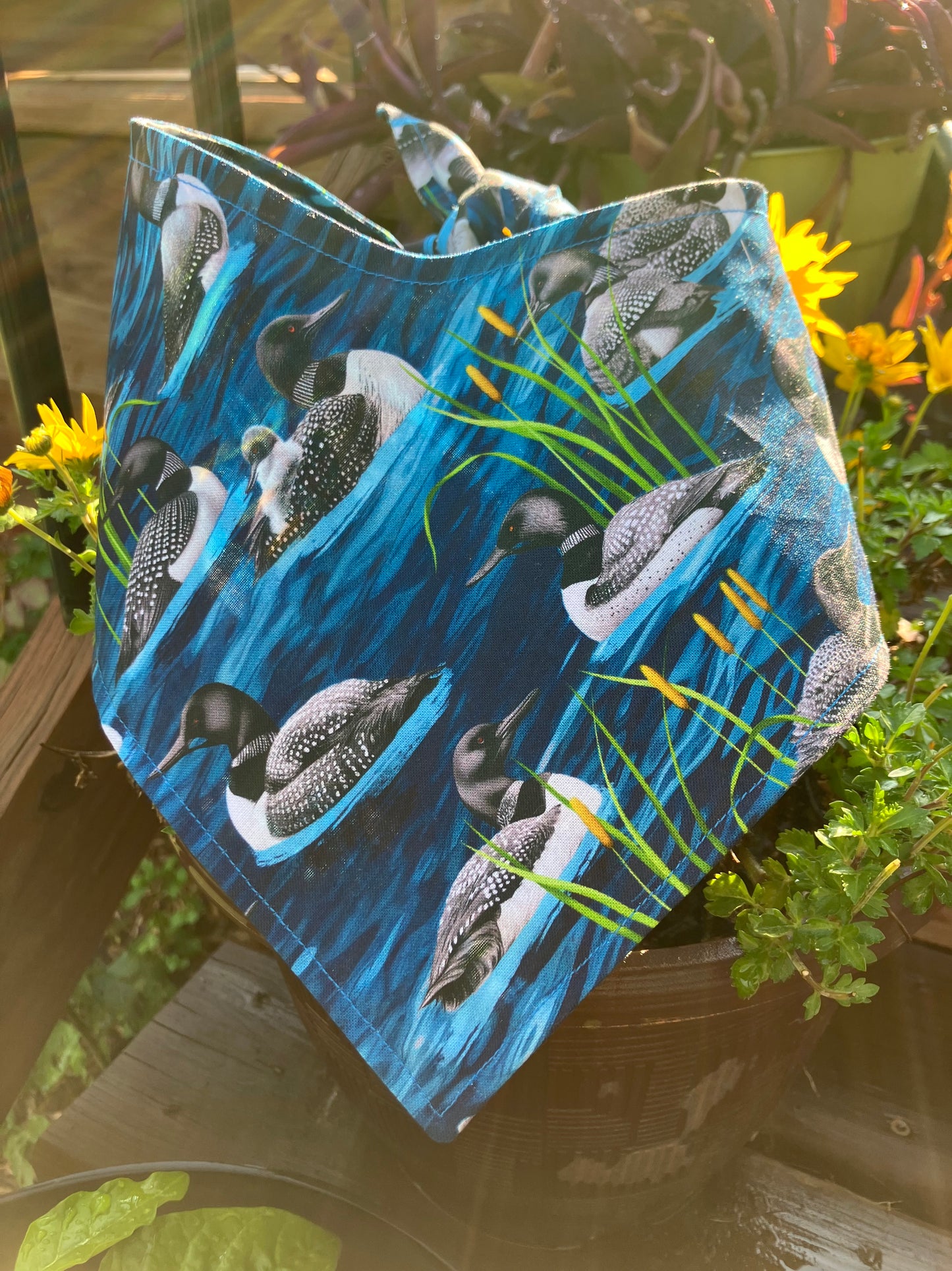 Loon Bandana