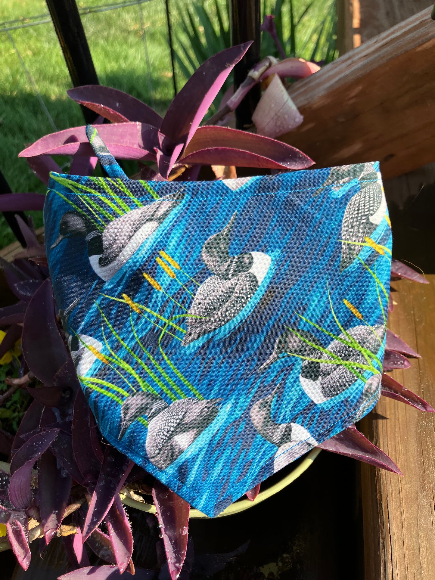Loon Bandana