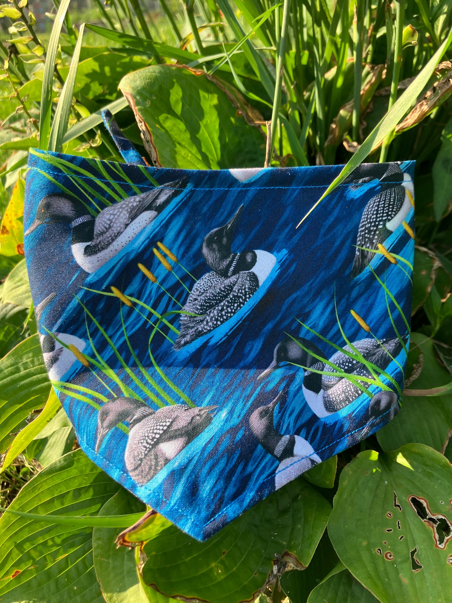Loon Bandana