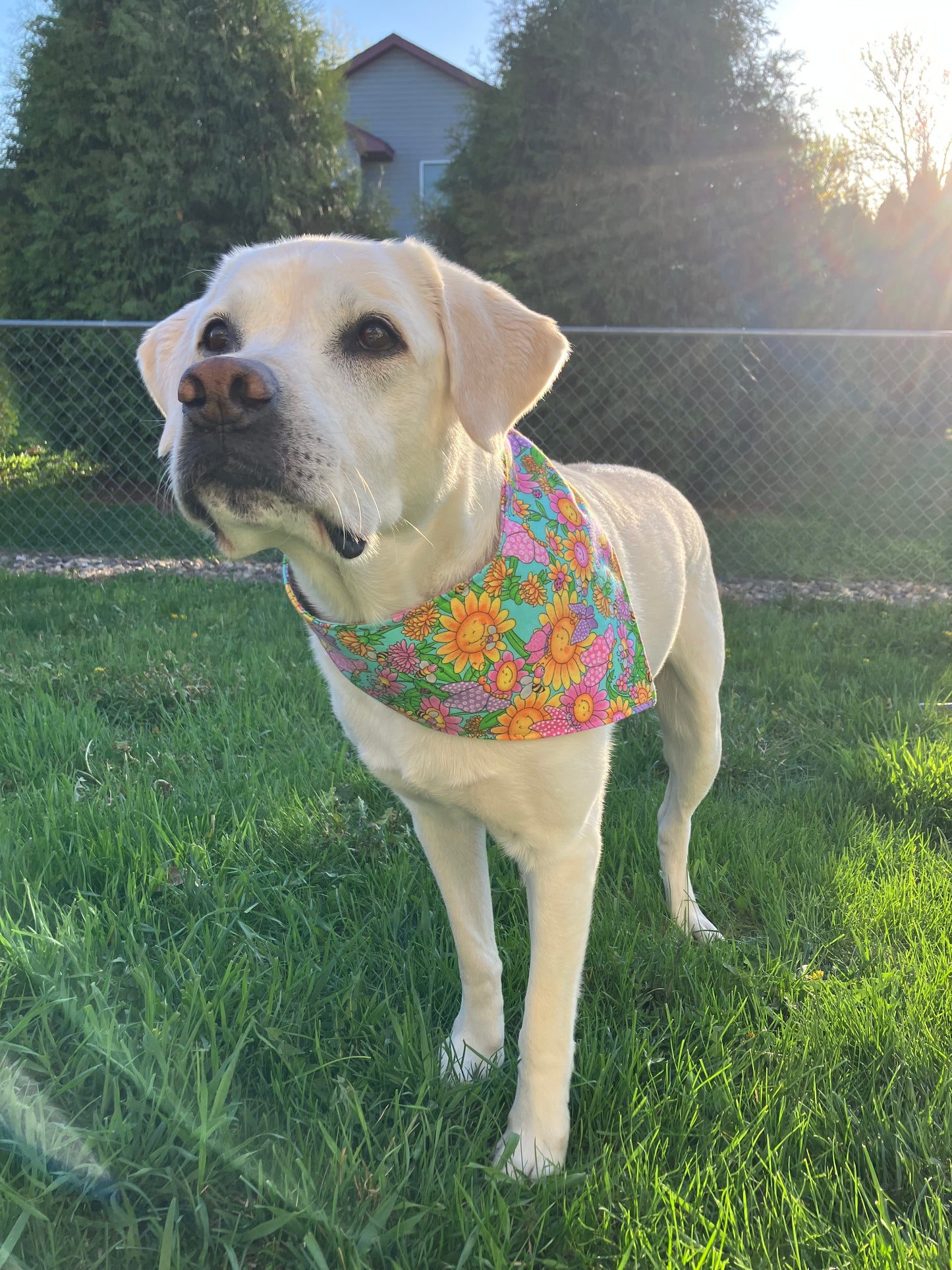 Floral Bandana