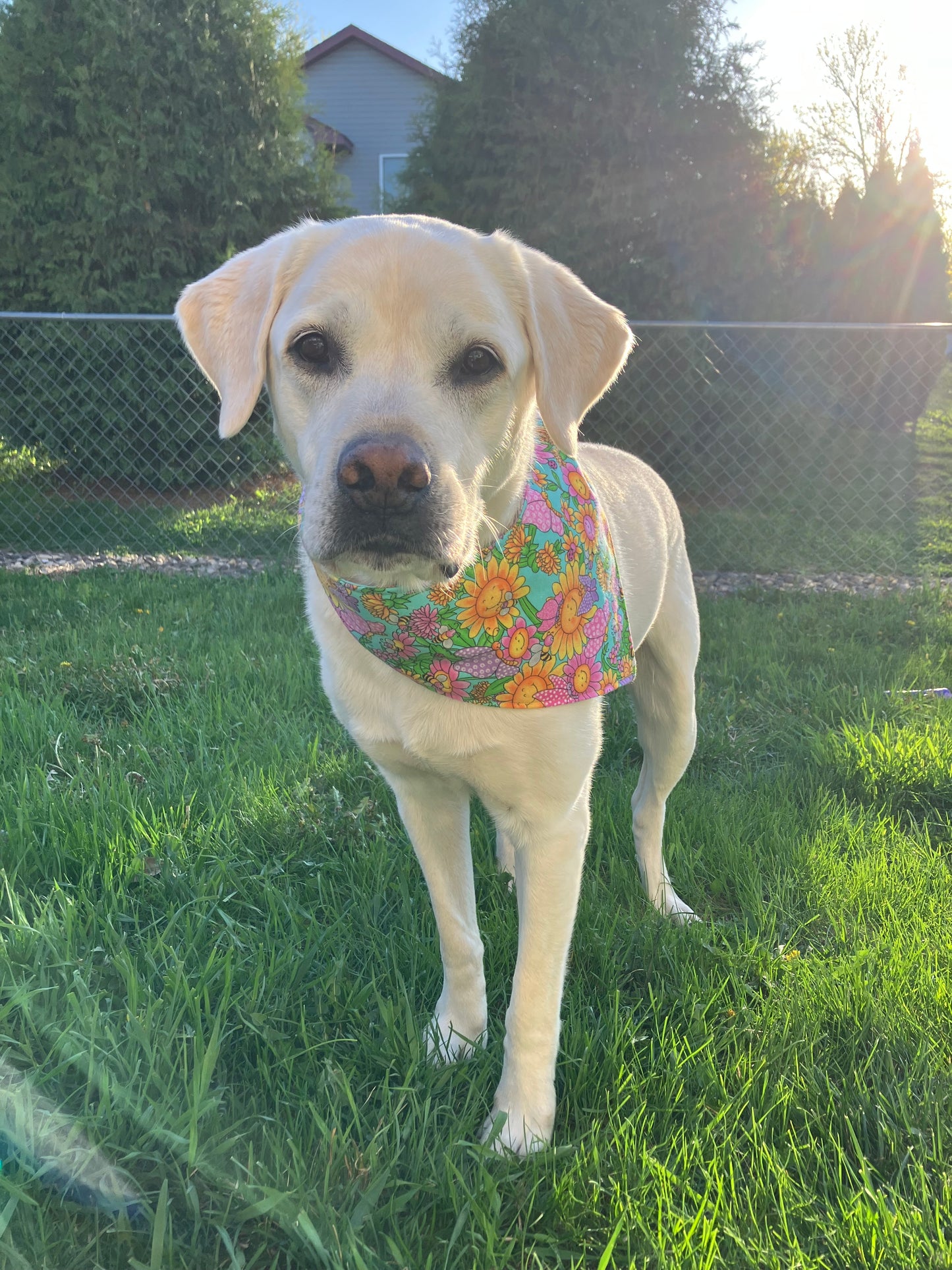 Floral Bandana