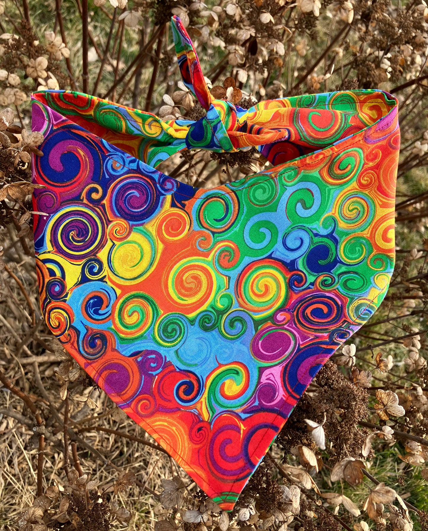 Rainbow Swirls Bandana