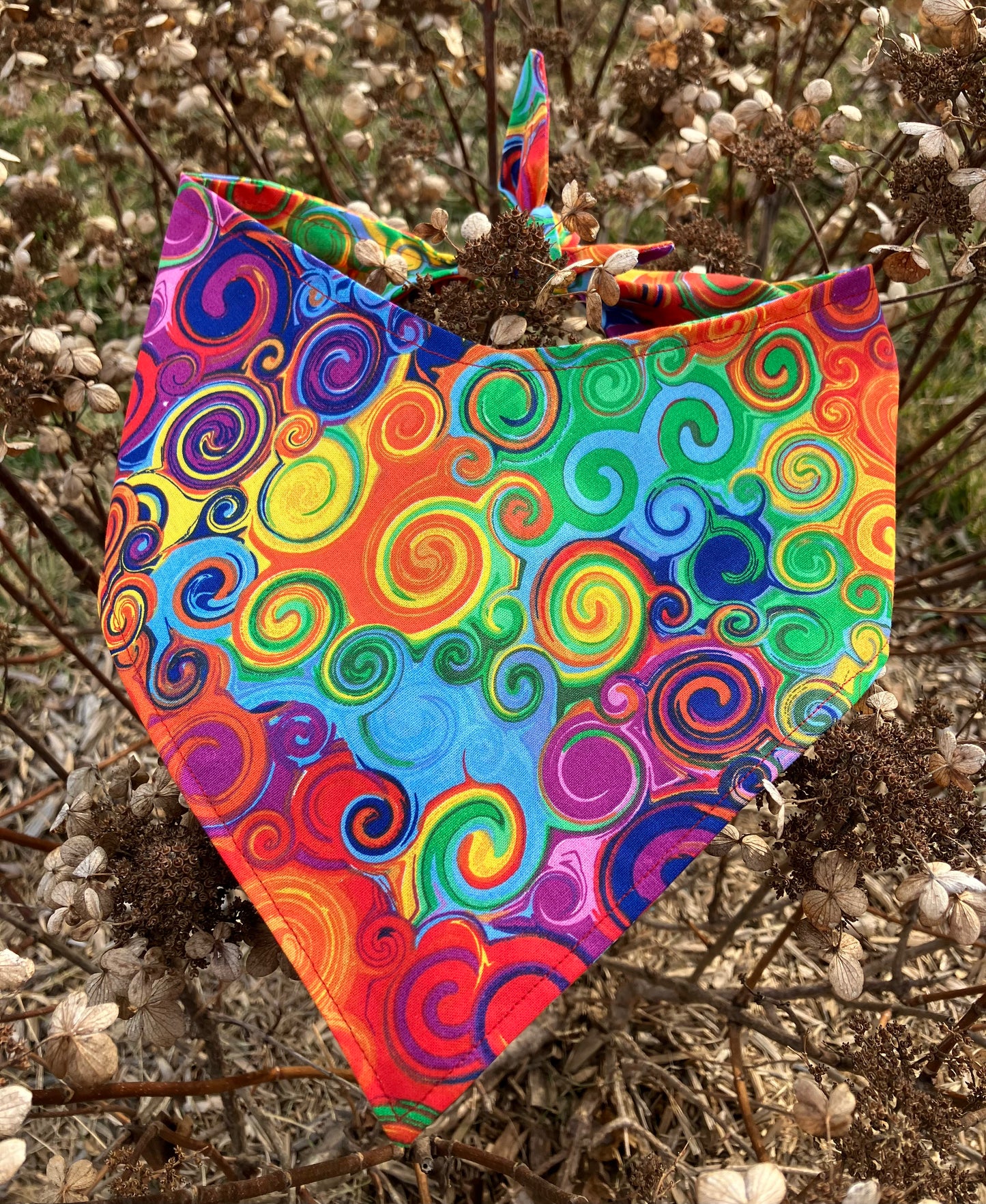 Rainbow Swirls Bandana