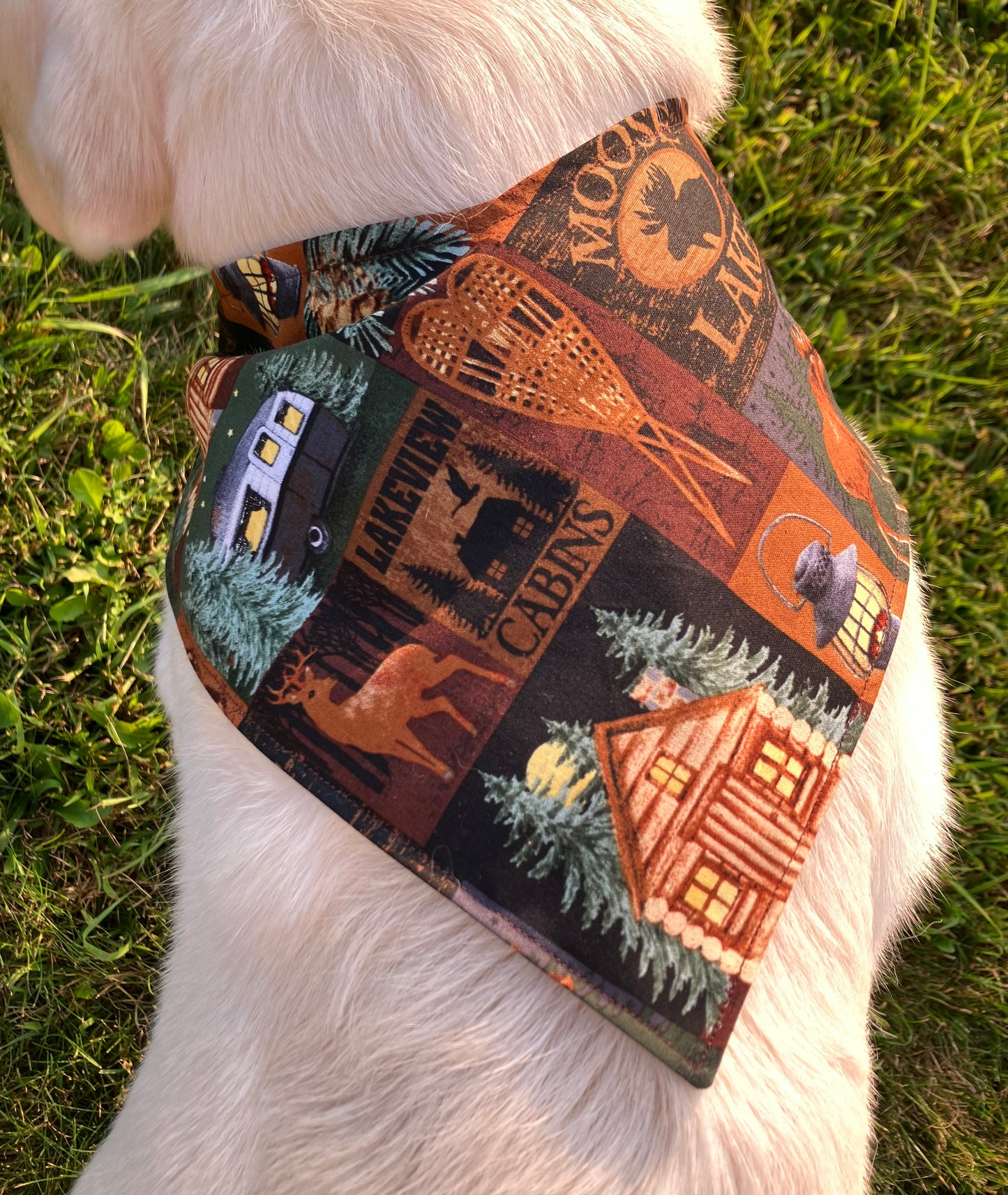 Cozy Cabin Bandana