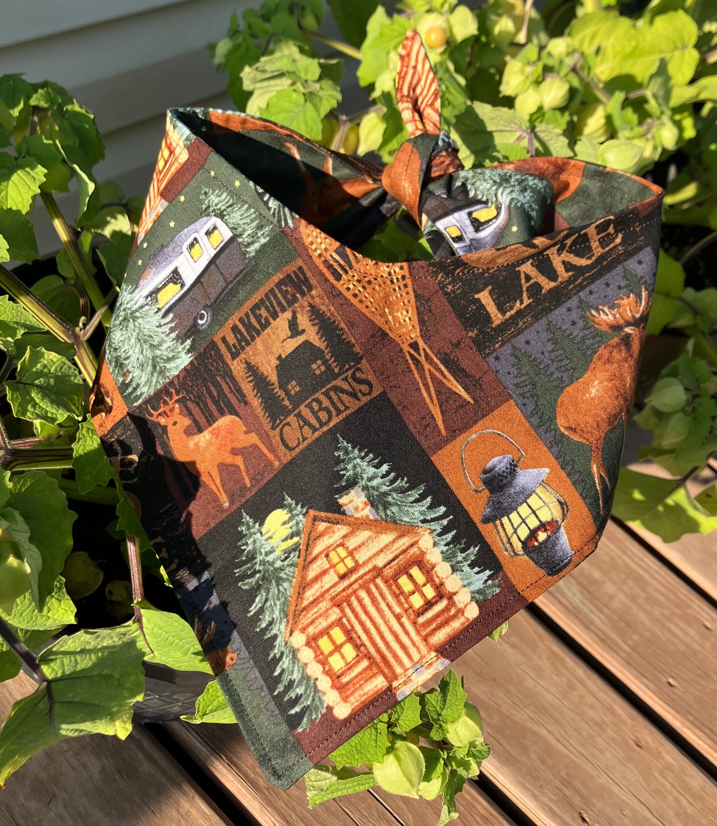 Cozy Cabin Bandana