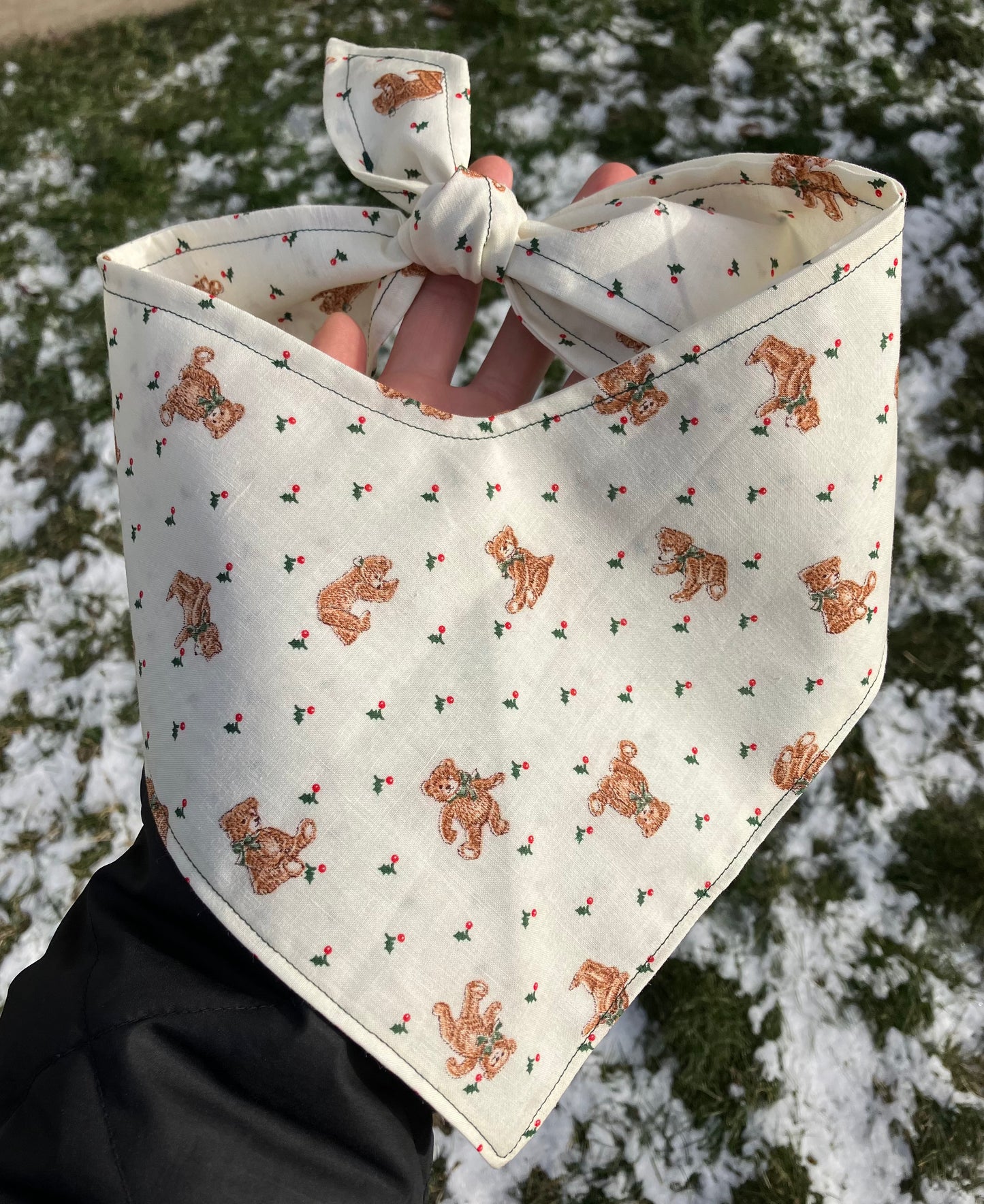 Teddy Bandana