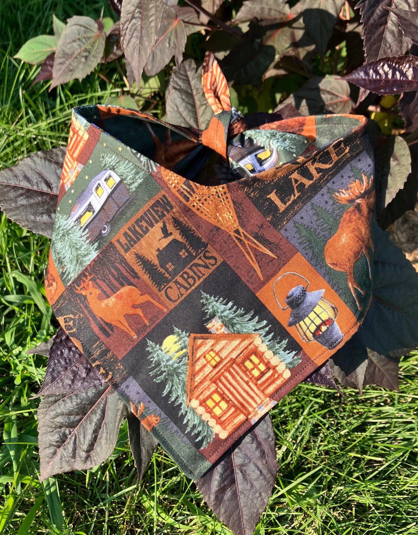 Cozy Cabin Bandana