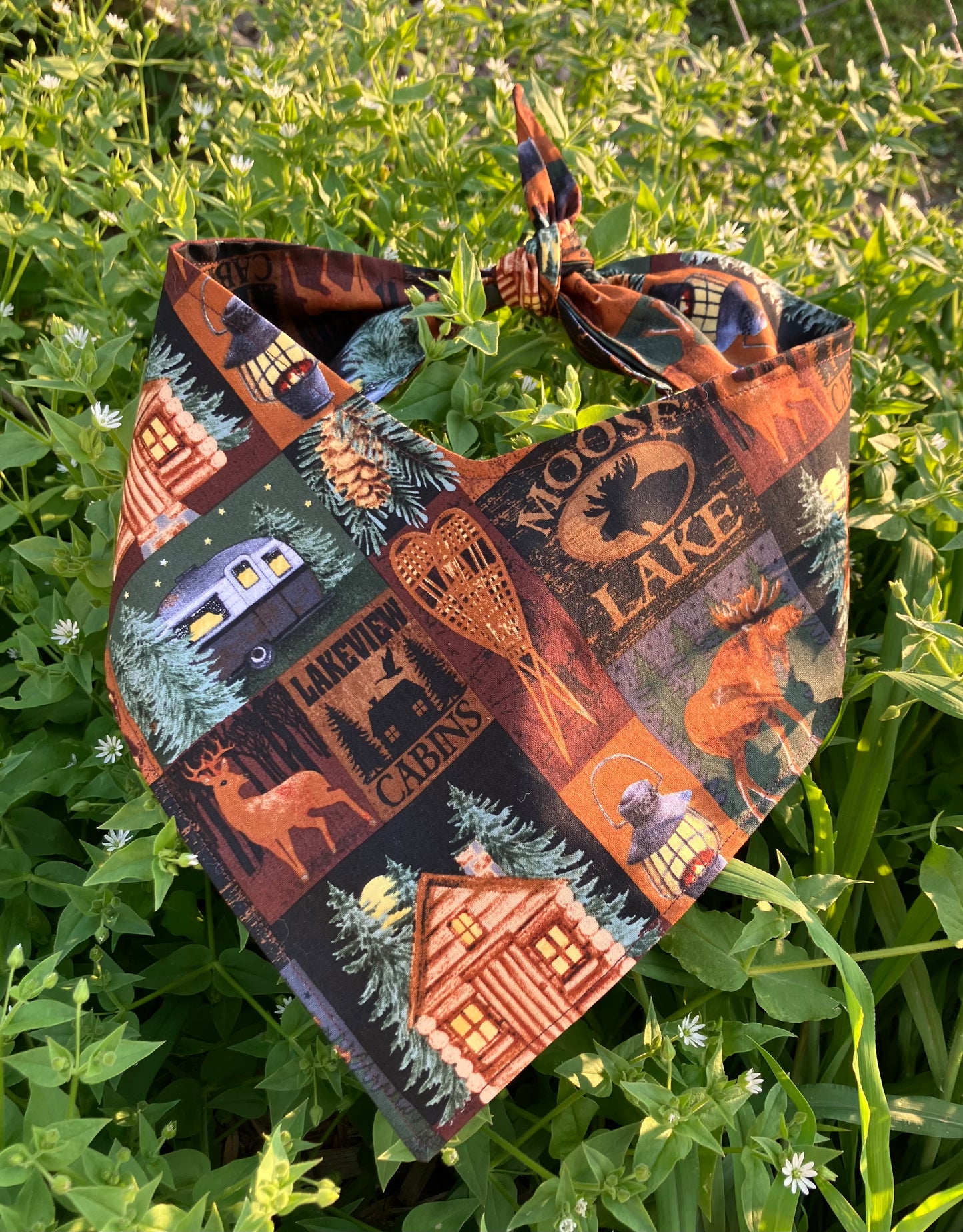 Cozy Cabin Bandana