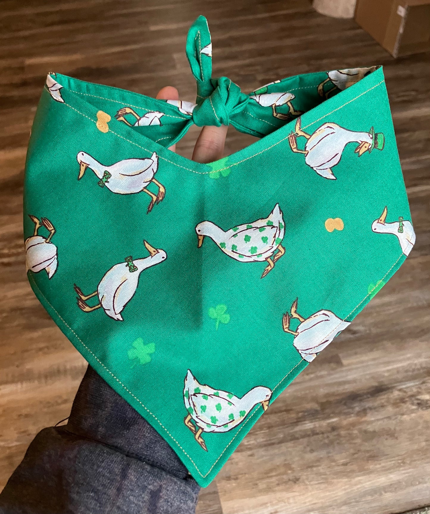 Lucky Duck Bandana