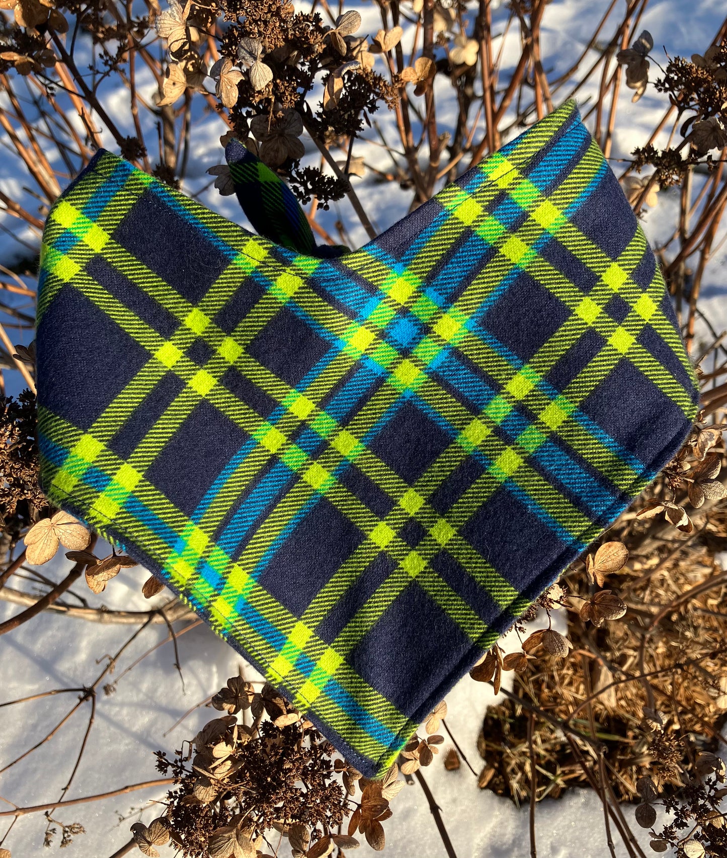 Neon Flannel Bandana