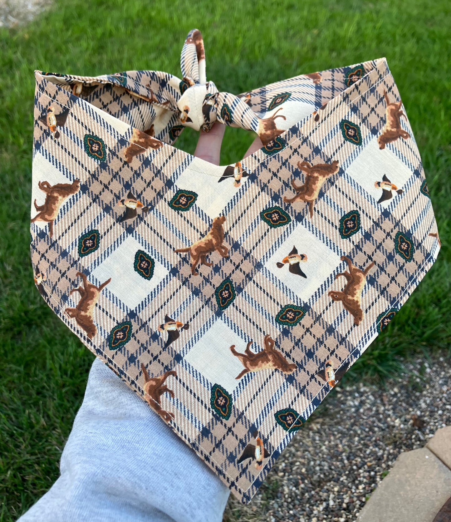Bird Dog Bandana