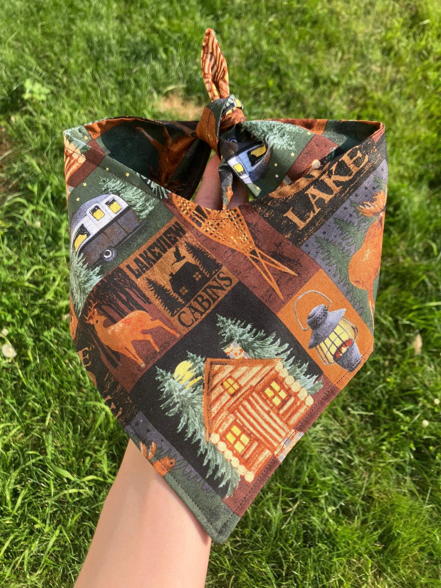 Cozy Cabin Bandana