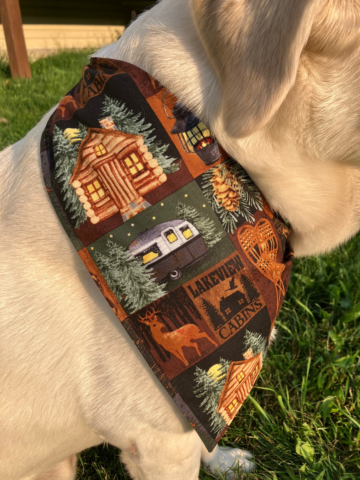 Cozy Cabin Bandana