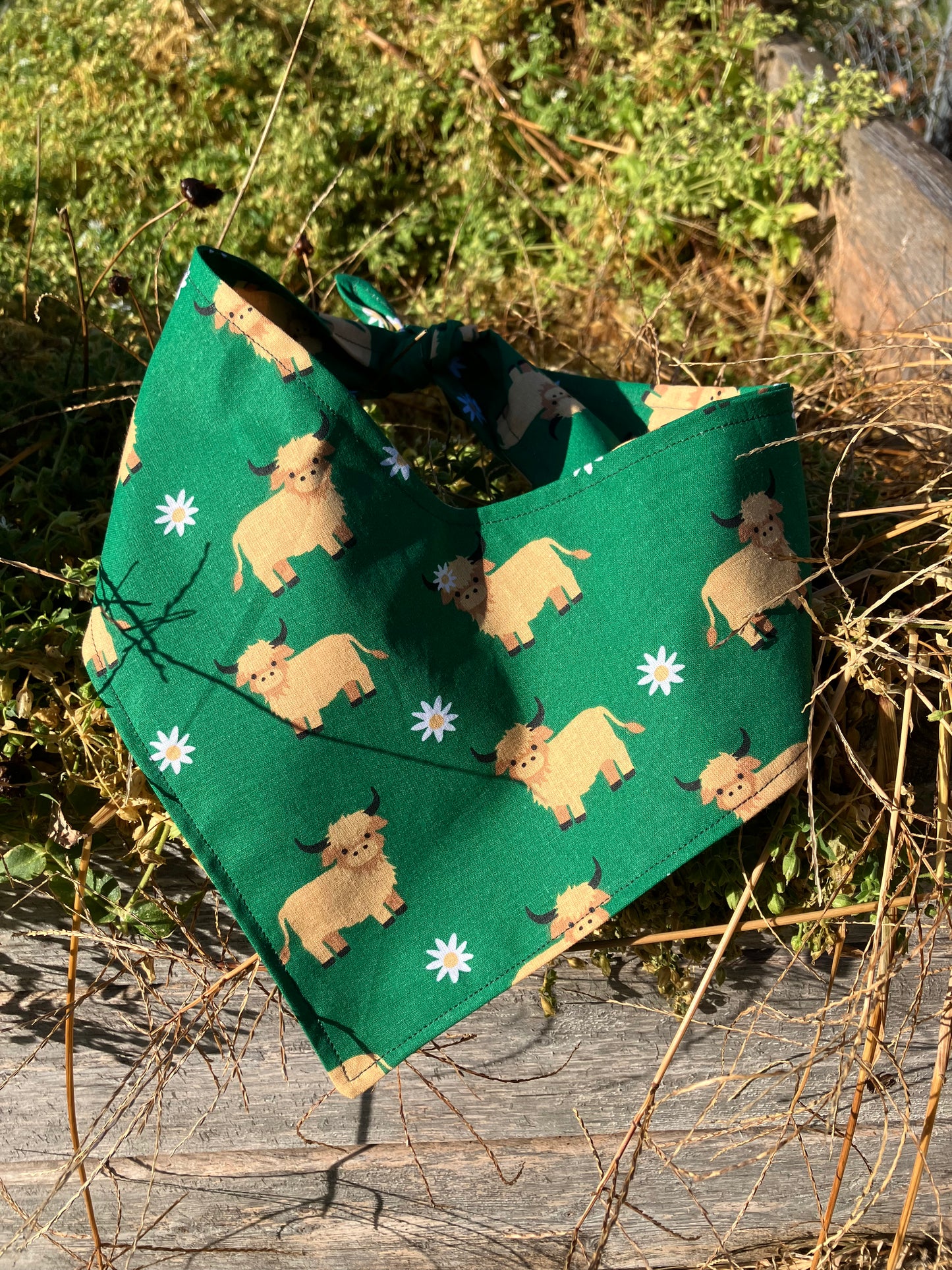Highland Cow Bandana