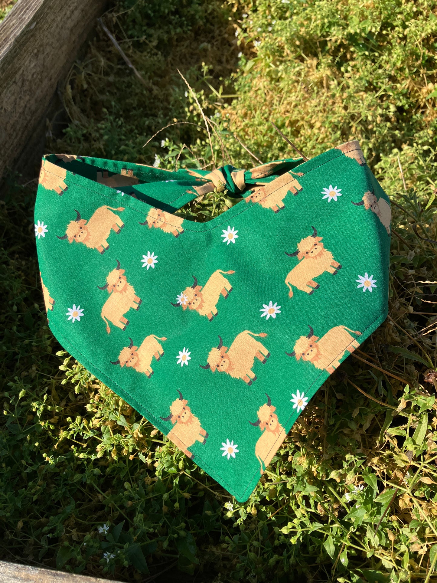 Highland Cow Bandana