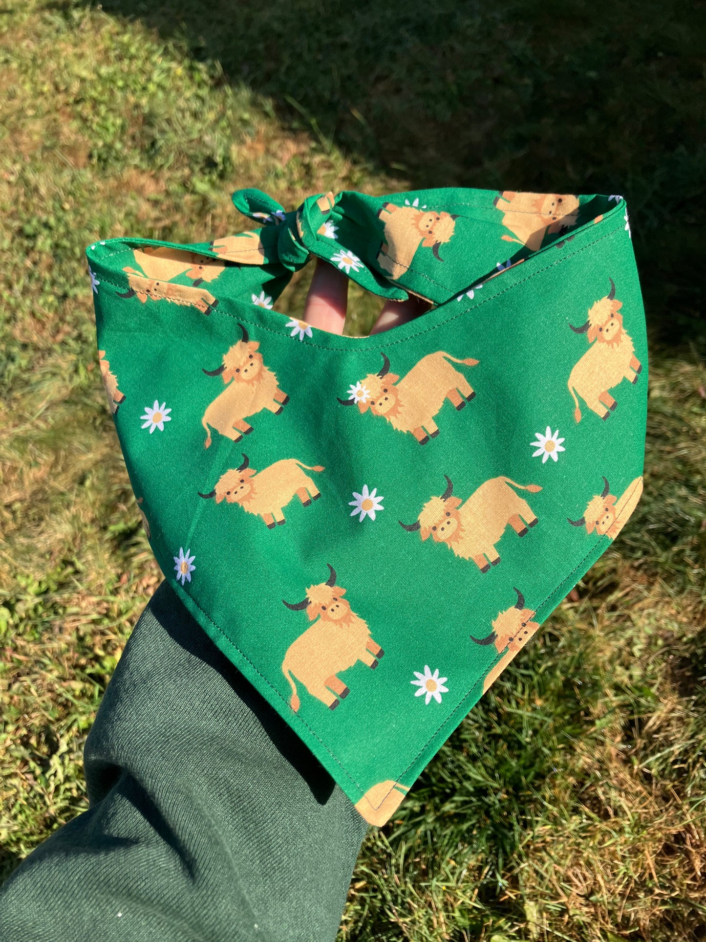Highland Cow Bandana