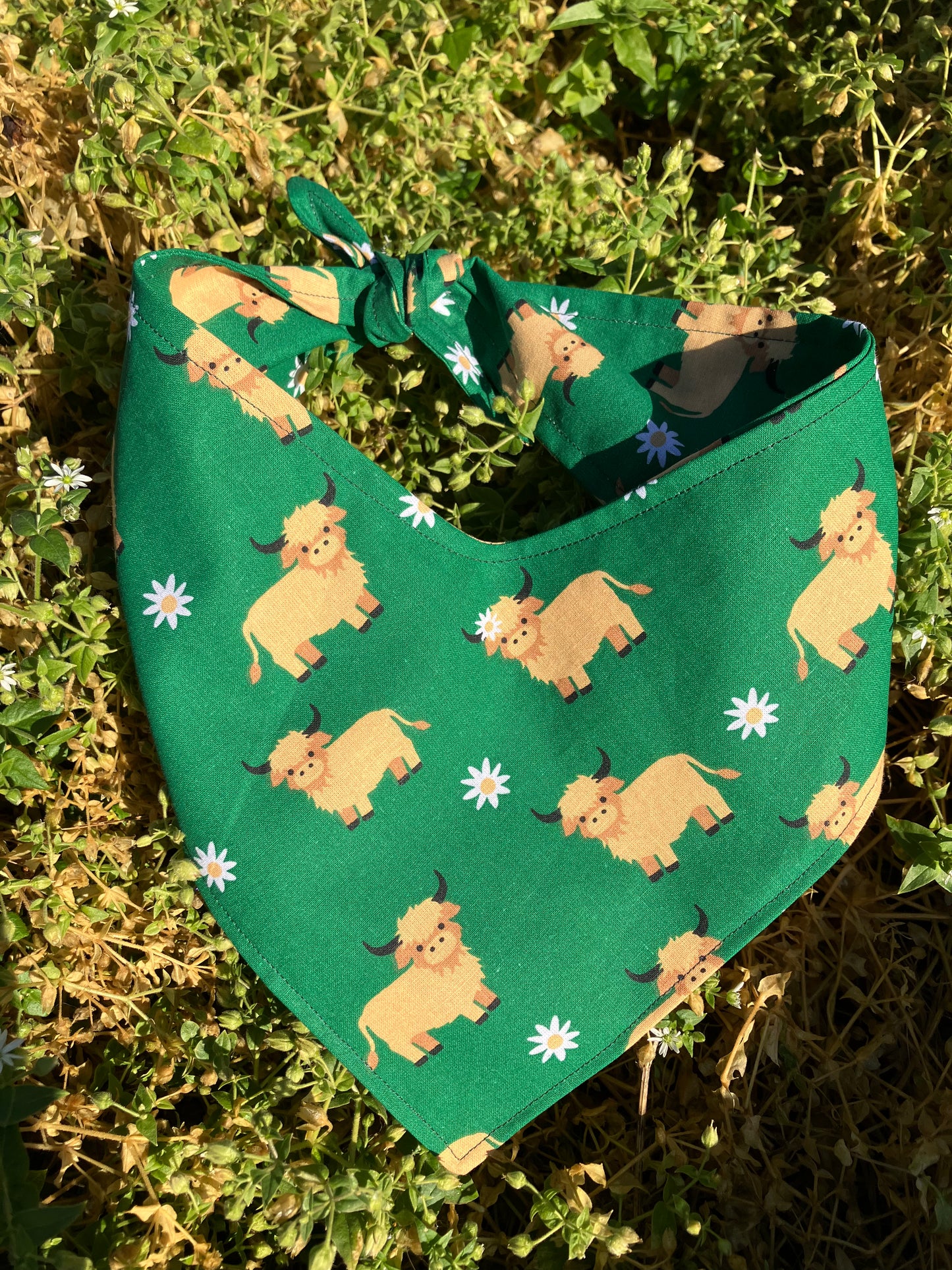 Highland Cow Bandana