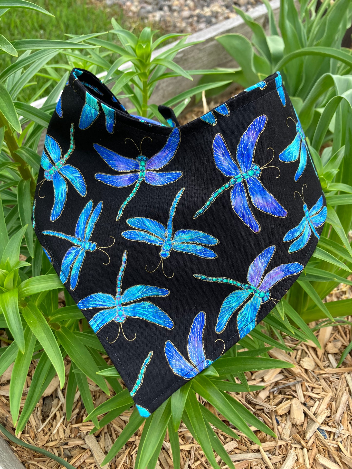 Dragonfly Bandana