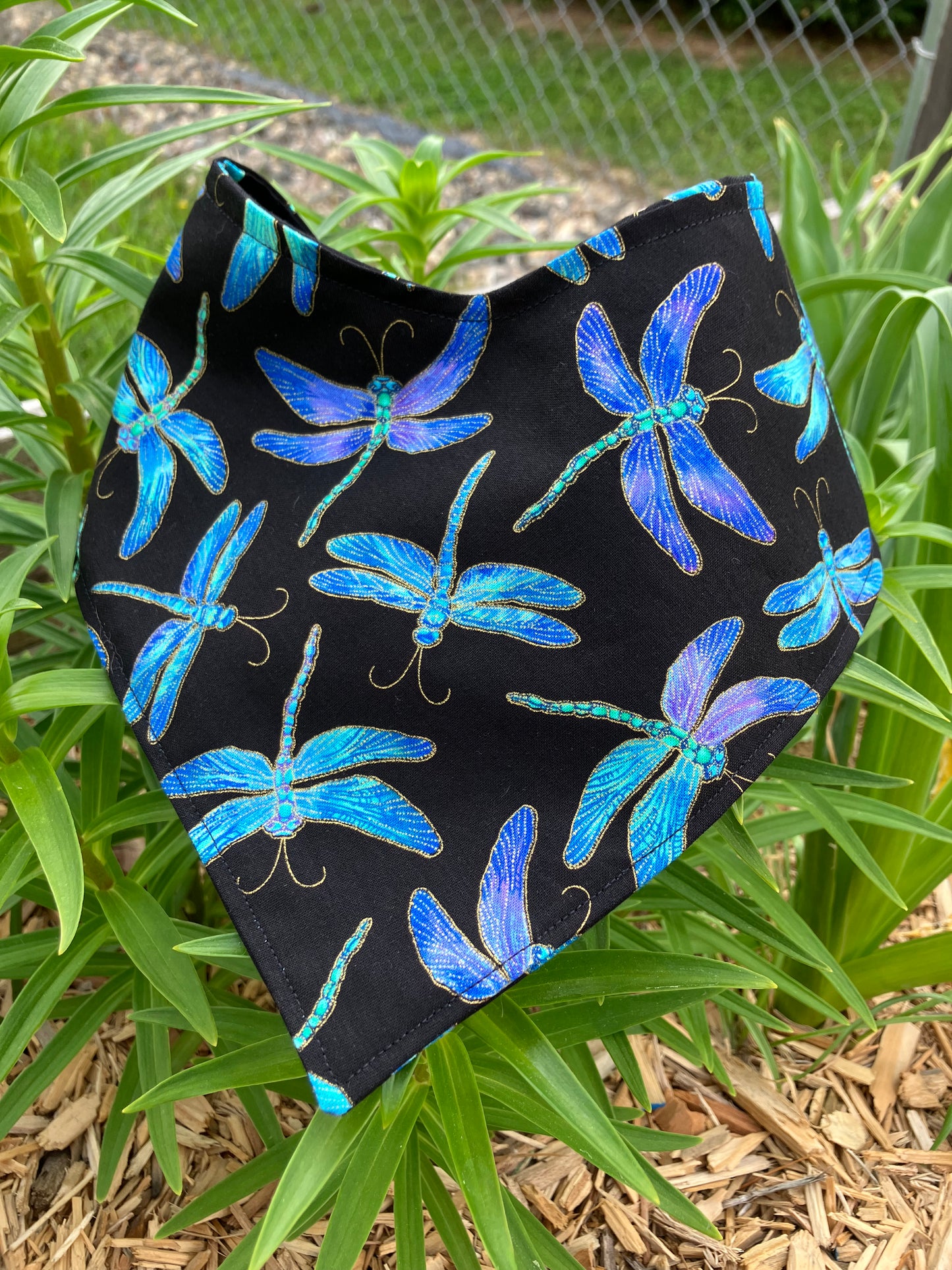 Dragonfly Bandana