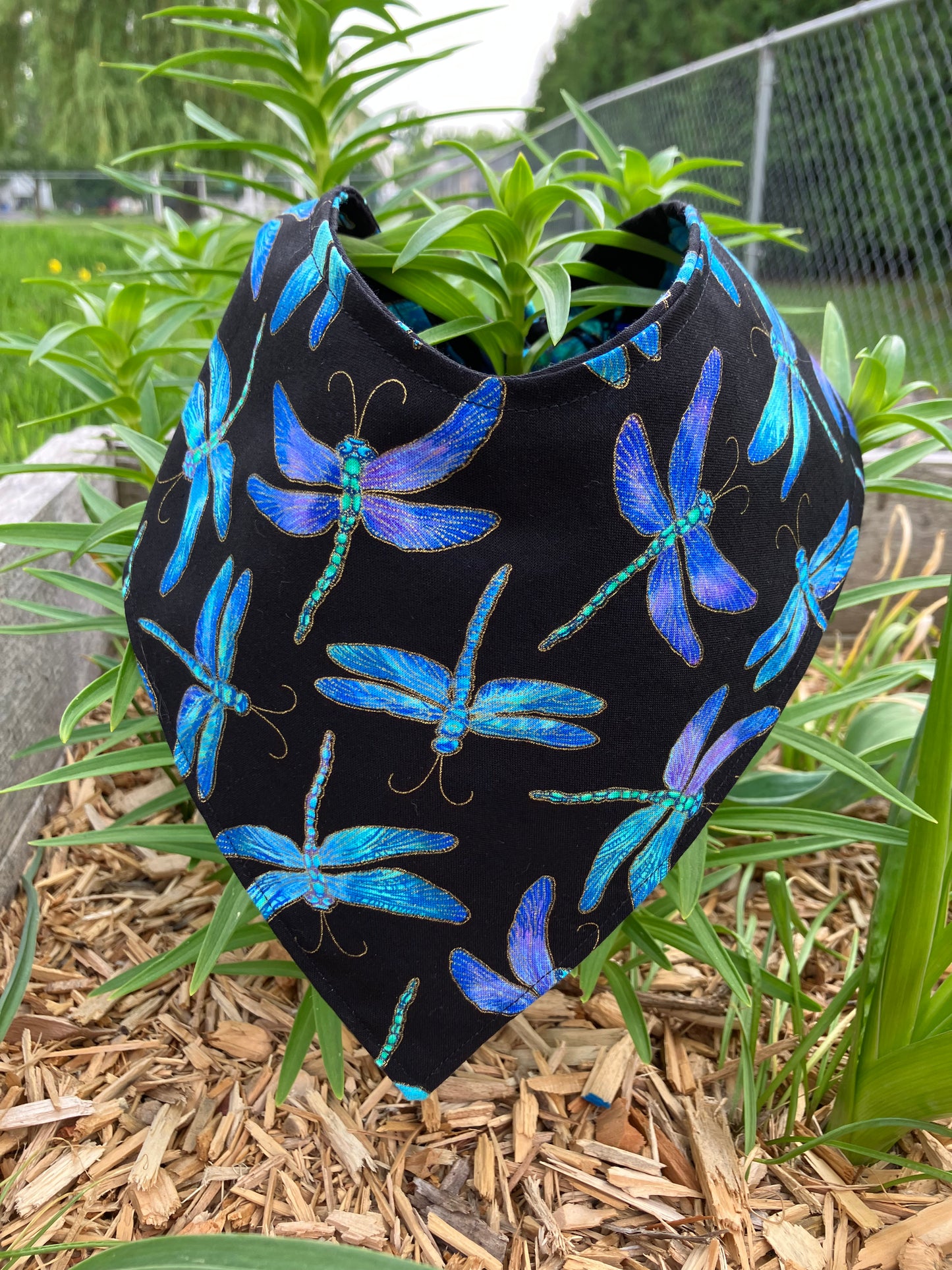 Dragonfly Bandana