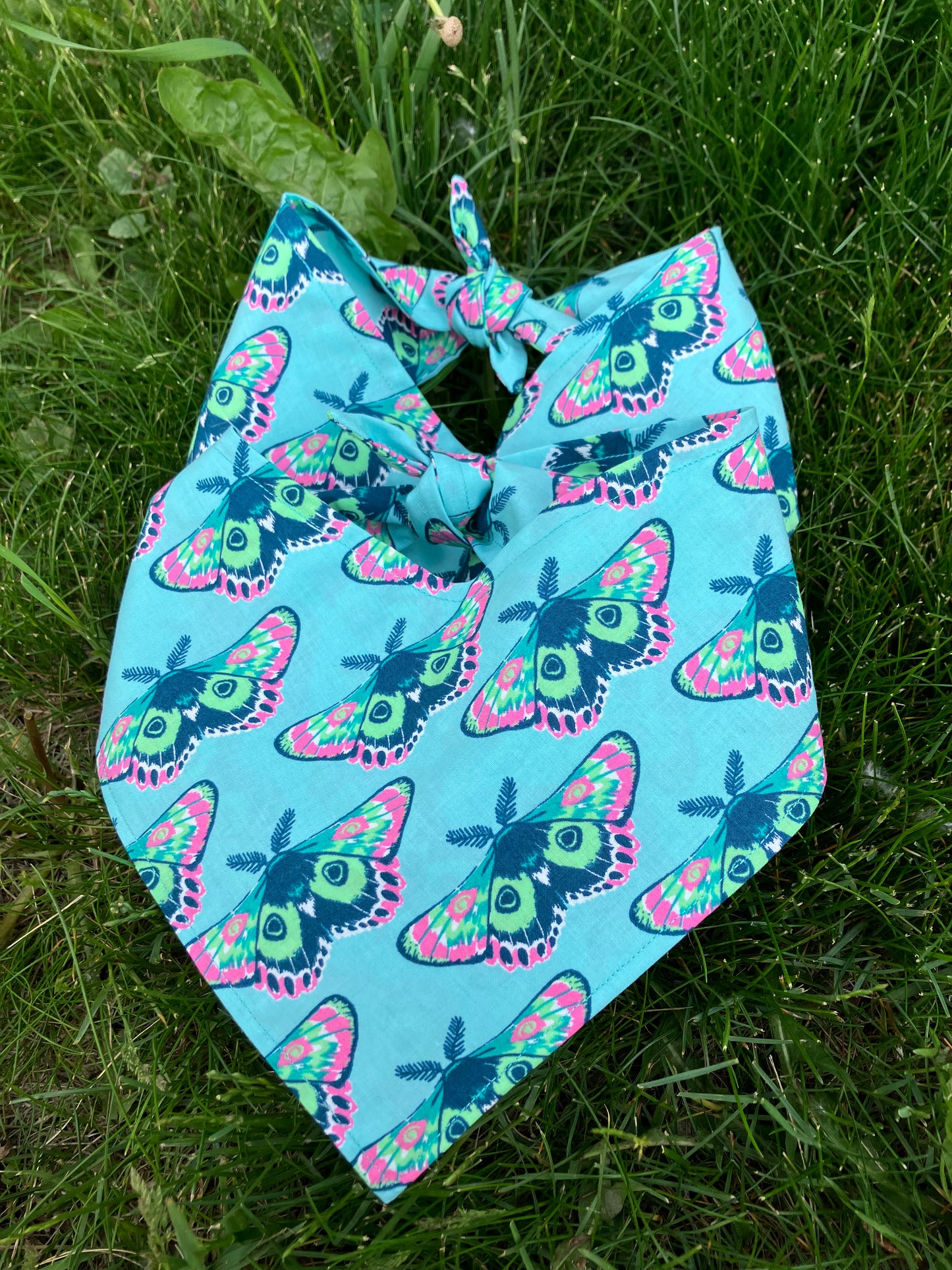 Moth Bandana