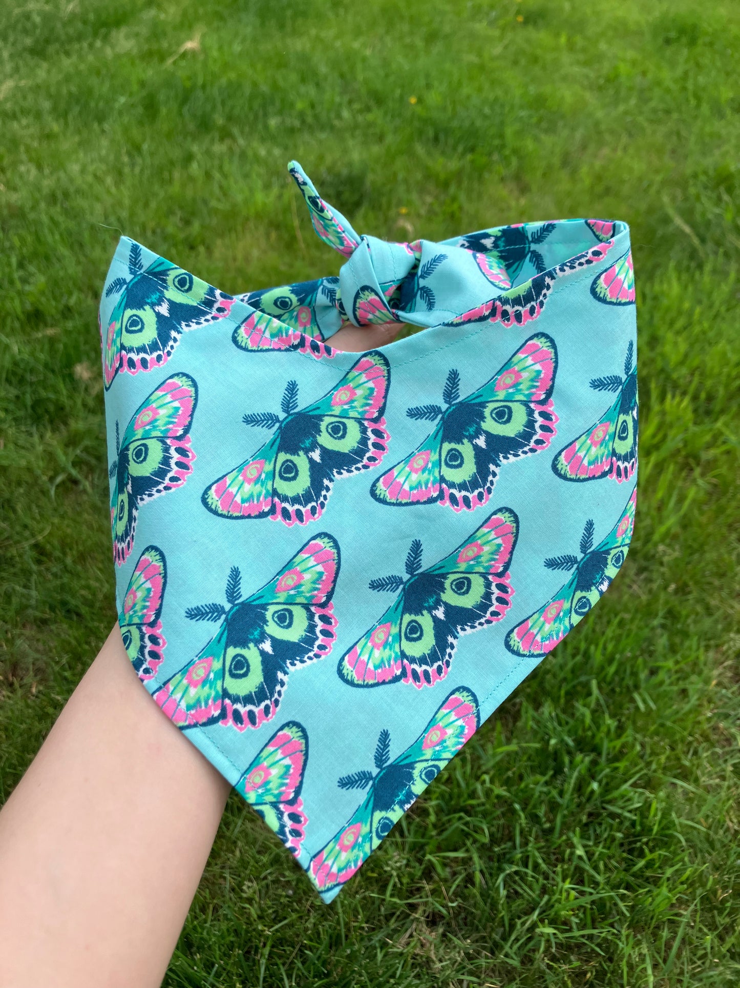 Moth Bandana