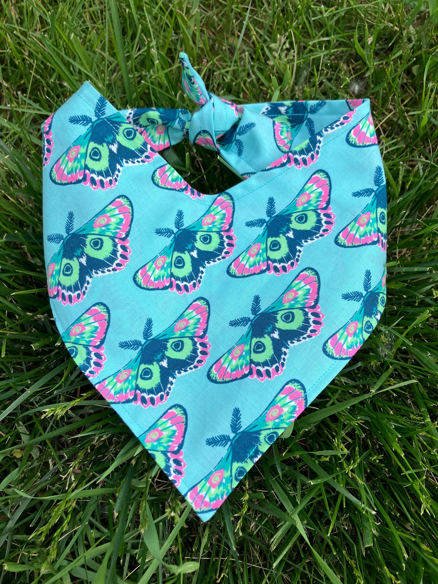 Moth Bandana