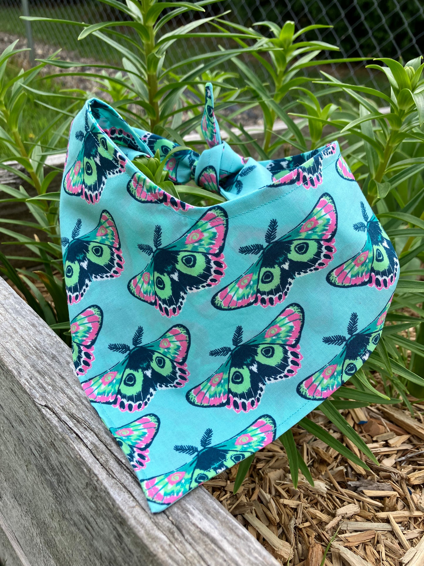 Moth Bandana