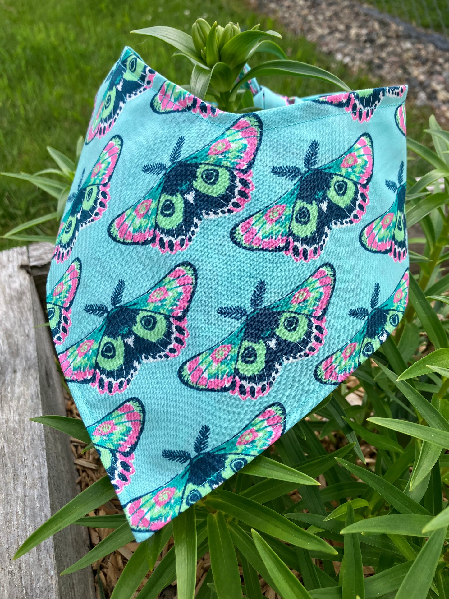 Moth Bandana