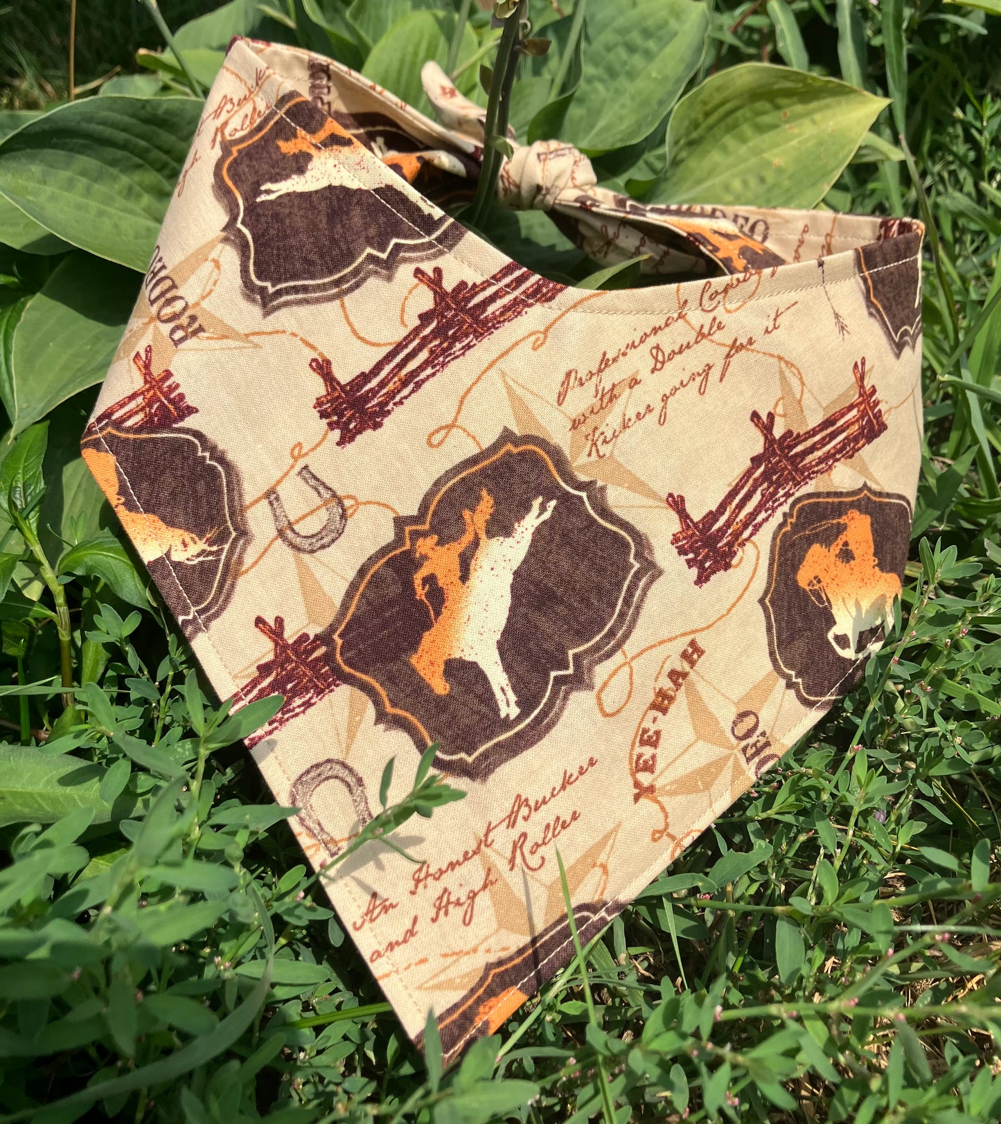 Rodeo Bandana