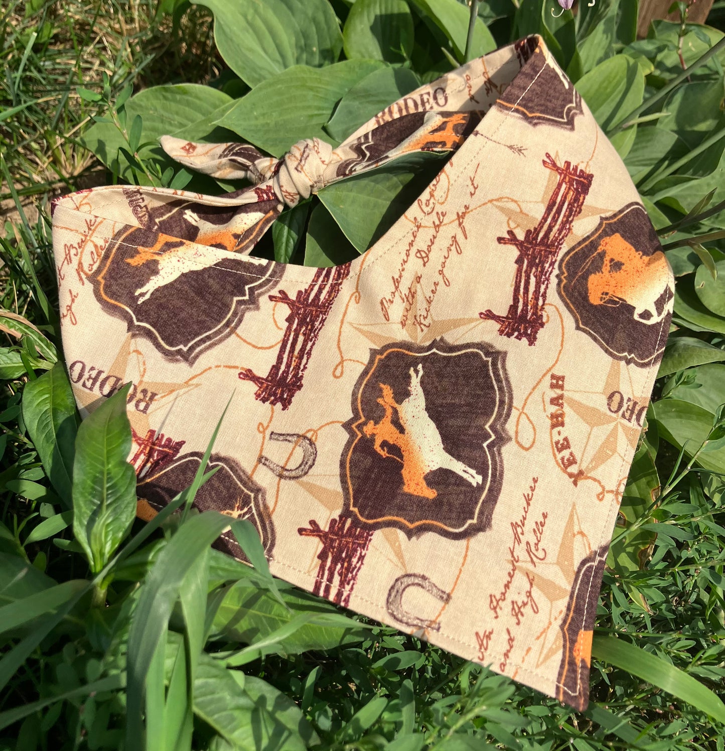 Rodeo Bandana