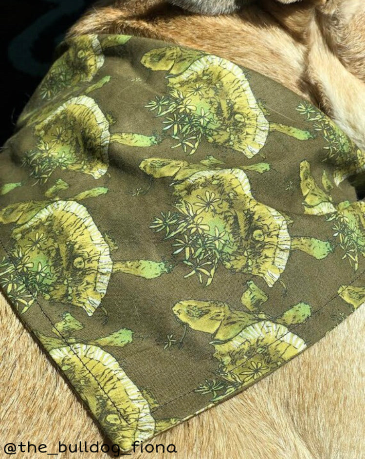 Daisy Snapper Bandana