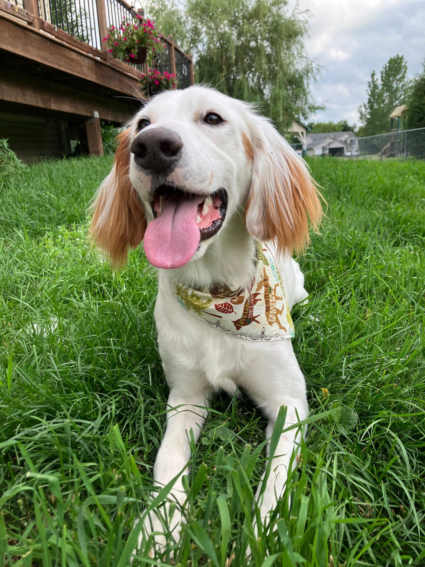 Woodland Bandana