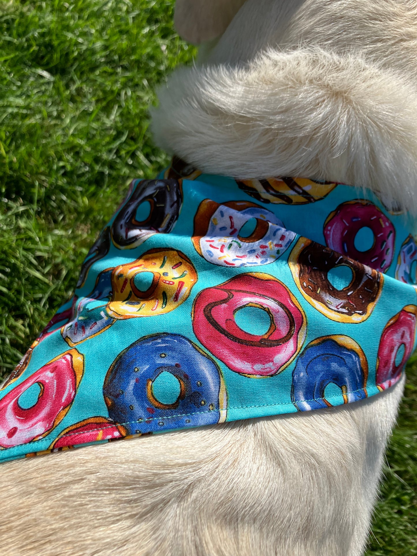 Donut Bandana