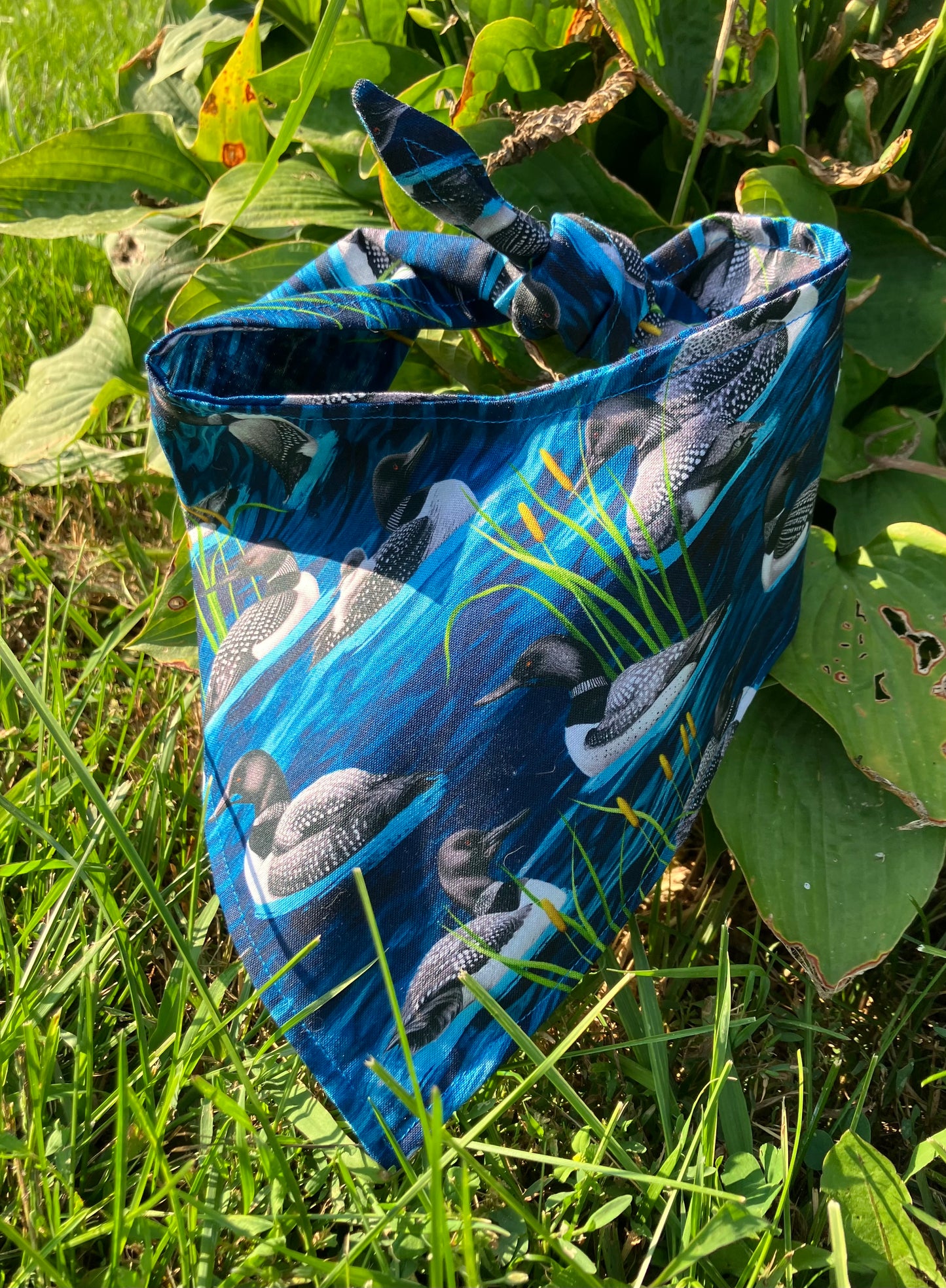 Loon Bandana