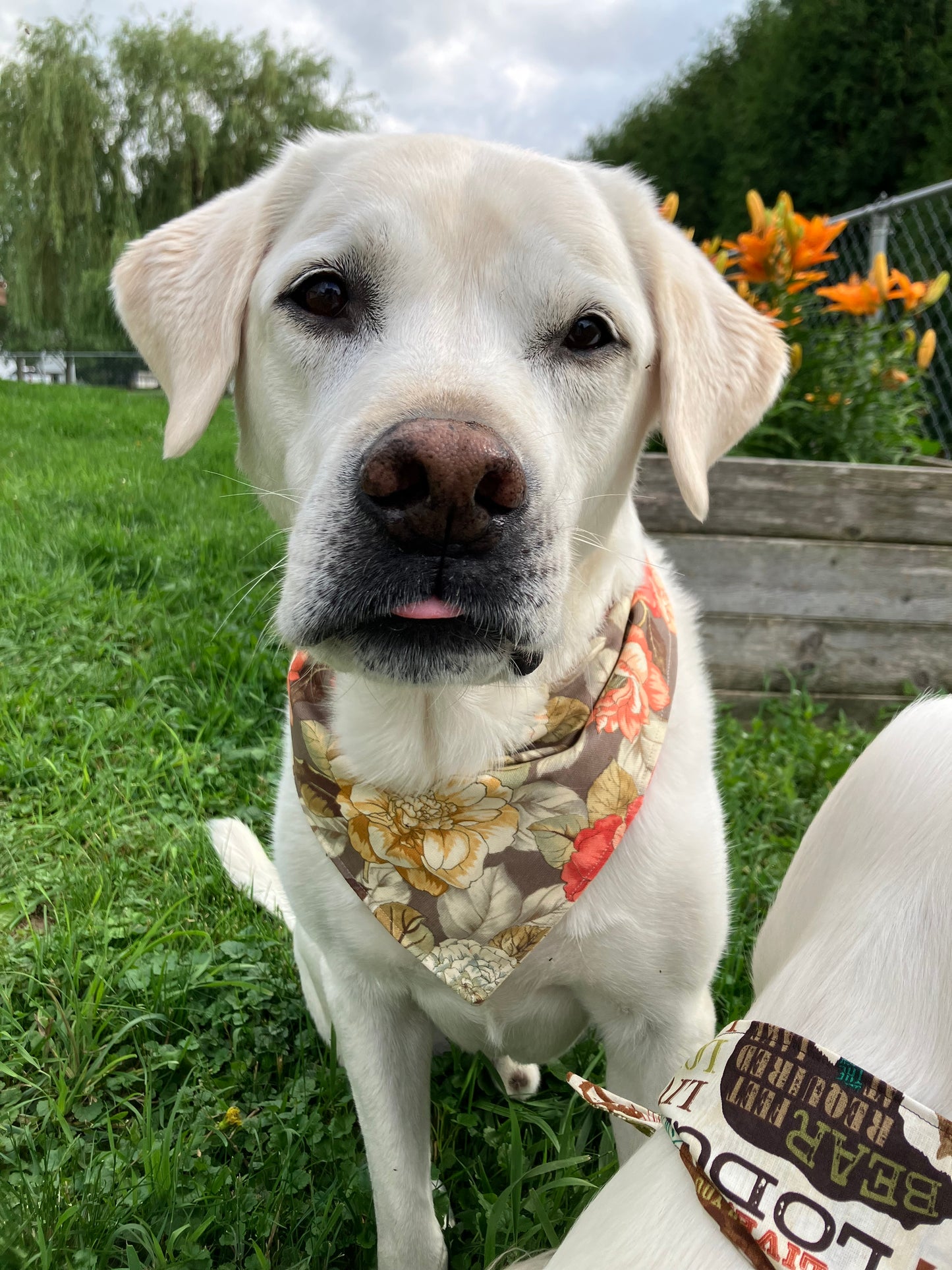 Floral Bandana