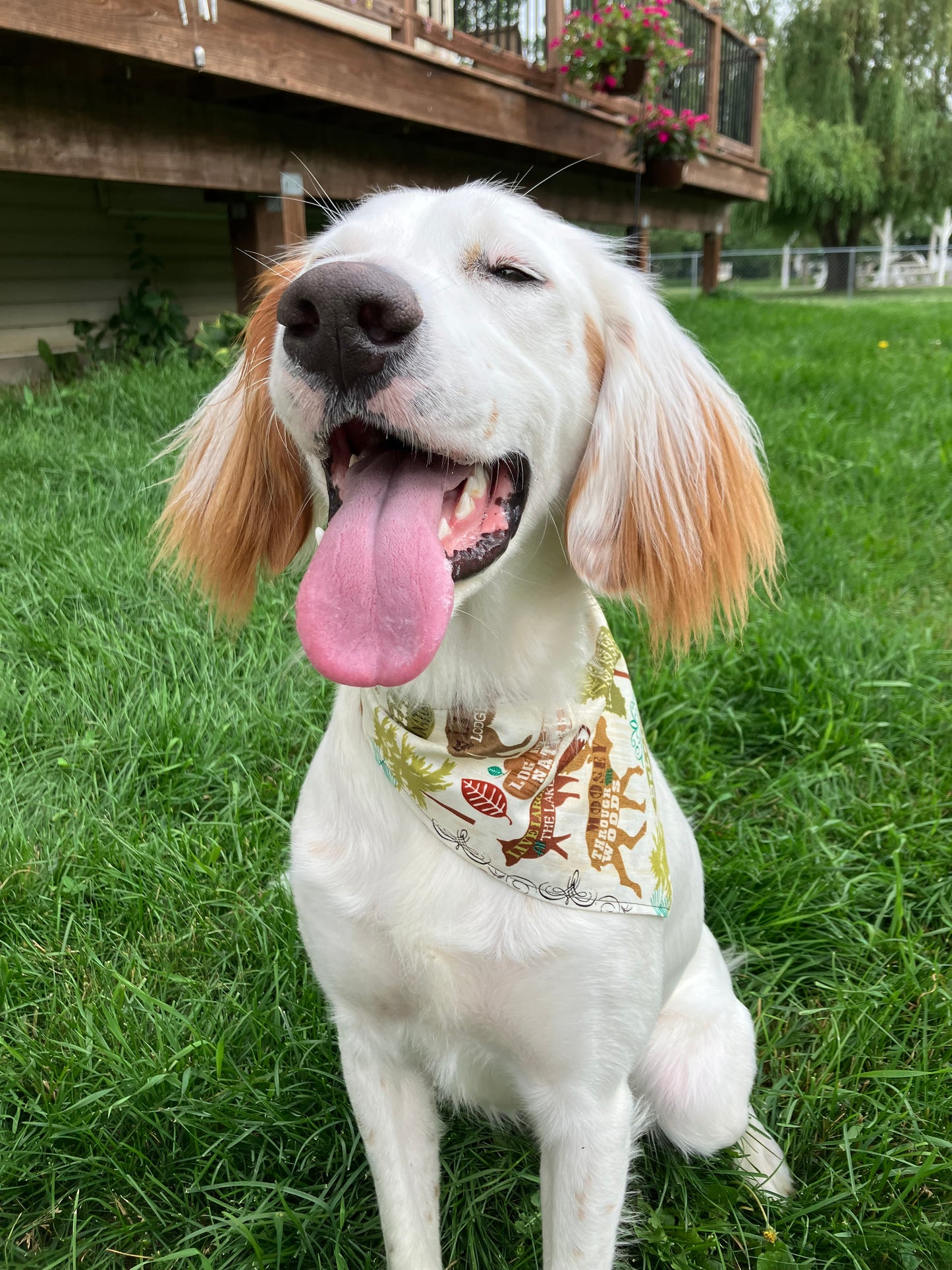 Woodland Bandana