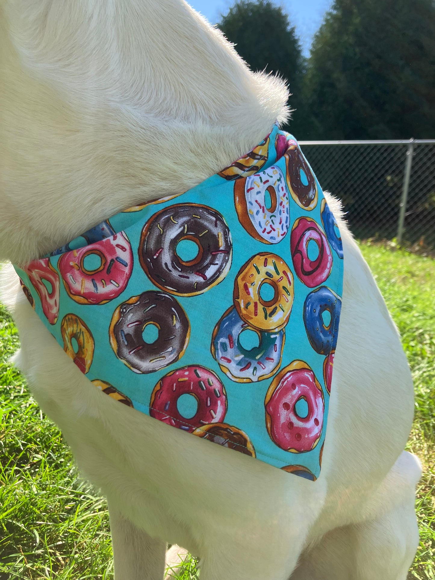 Donut Bandana