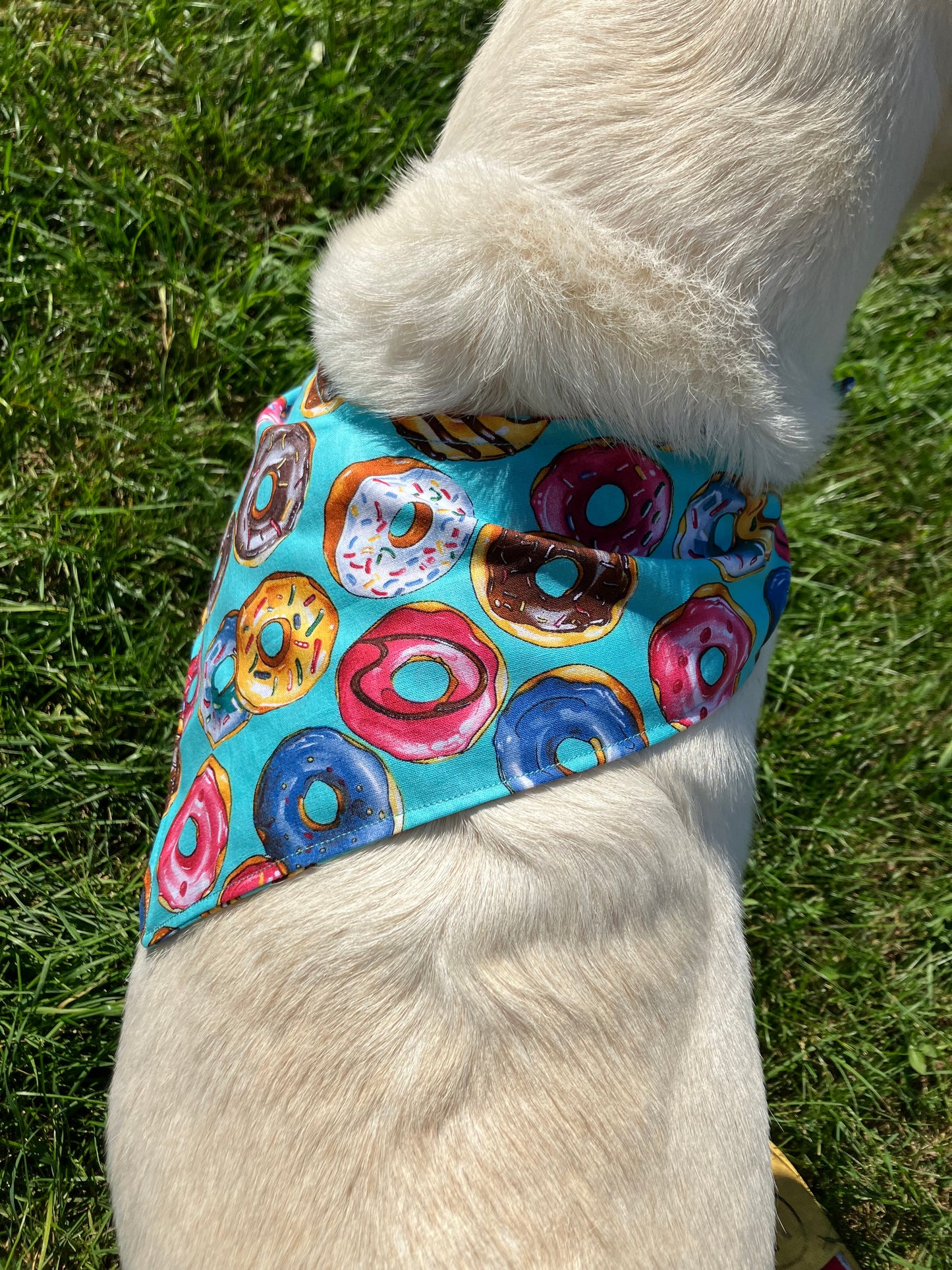 Donut Bandana