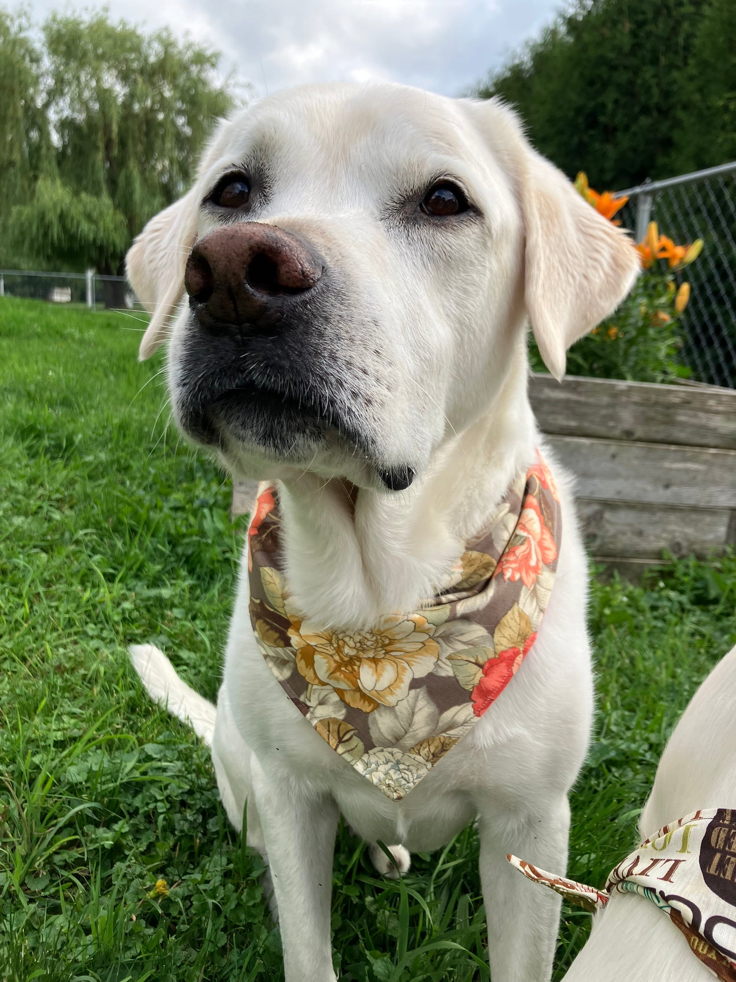 Floral Bandana