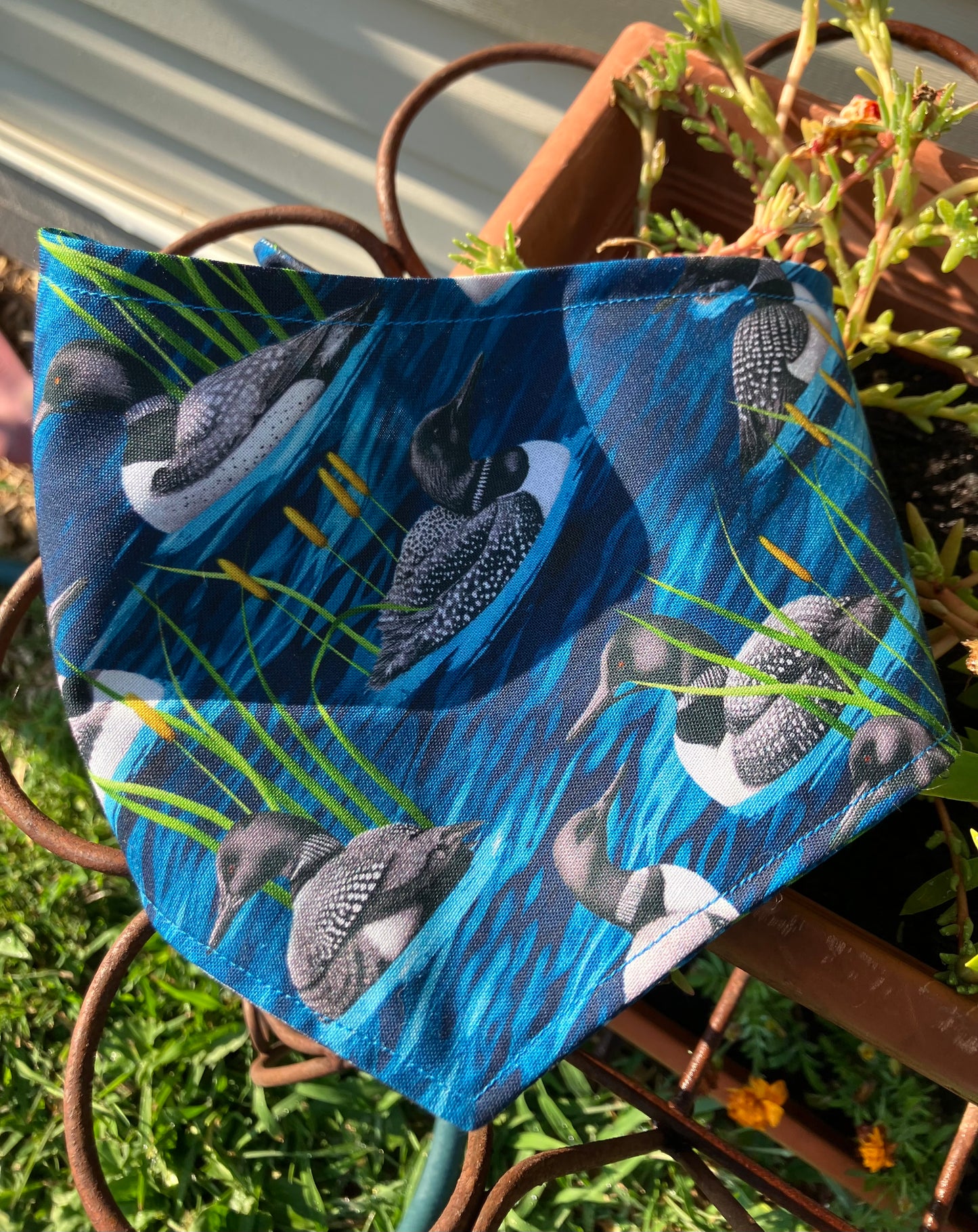 Loon Bandana