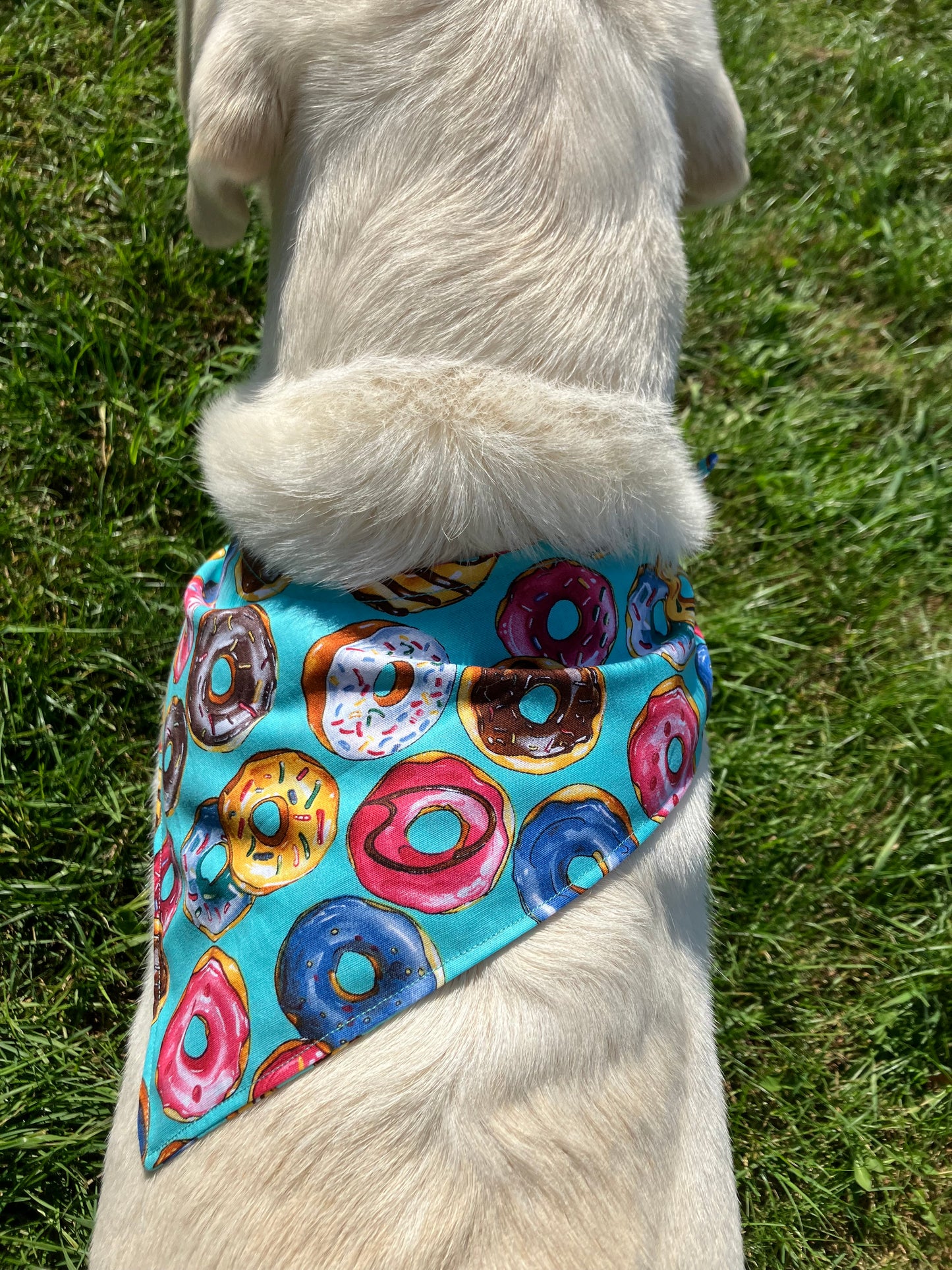 Donut Bandana