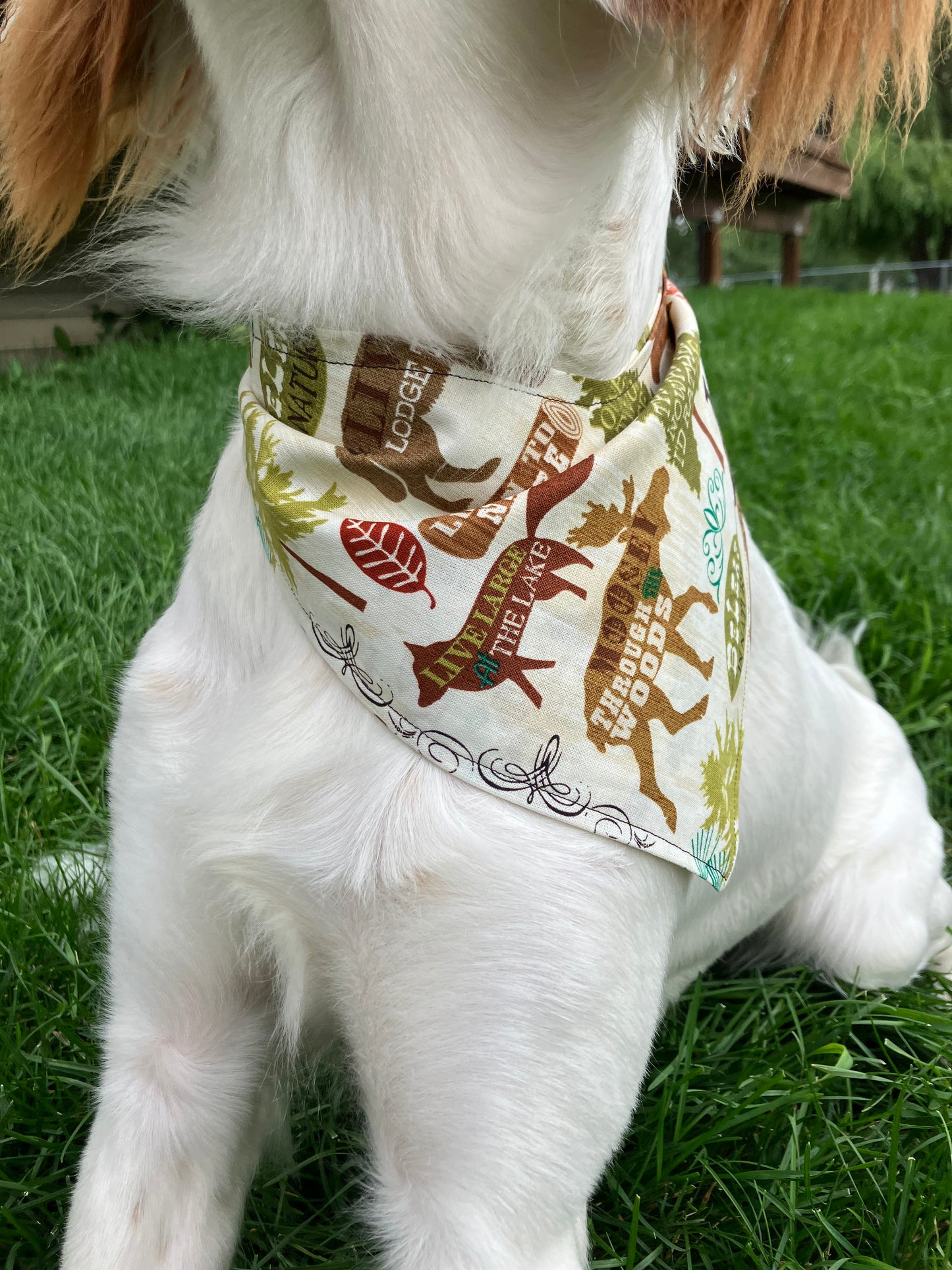 Woodland Bandana