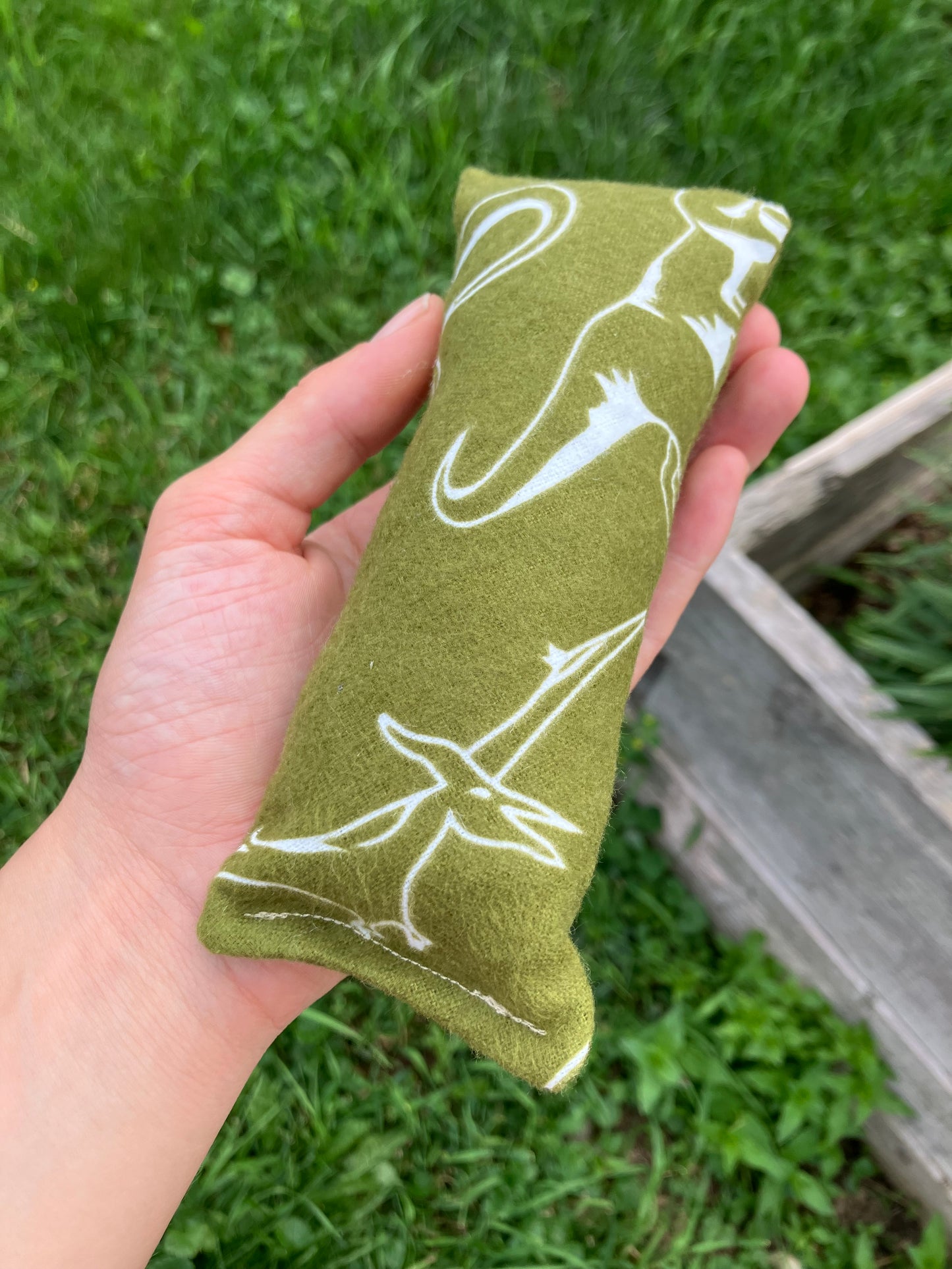 Dino Catnip Kicker