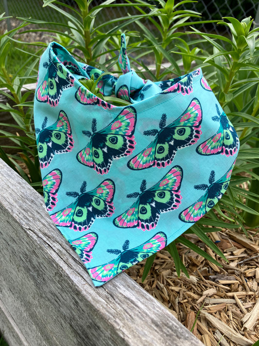 Moth Bandana